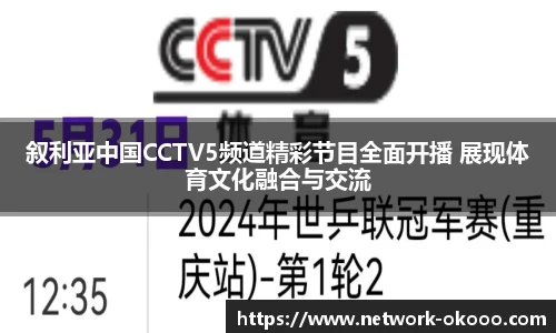 叙利亚中国CCTV5频道精彩节目全面开播 展现体育文化融合与交流