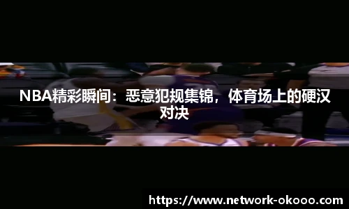 NBA精彩瞬间：恶意犯规集锦，体育场上的硬汉对决