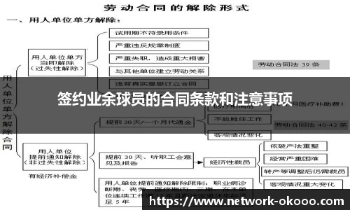 签约业余球员的合同条款和注意事项